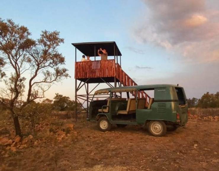 Bush camp stand